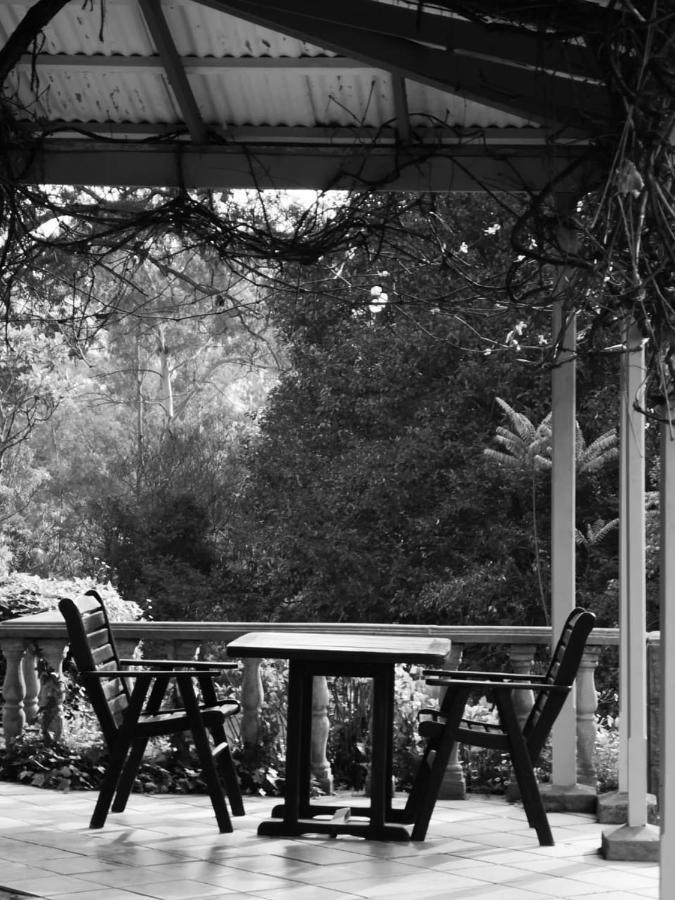 Halliwell Country Inn Howick Extérieur photo